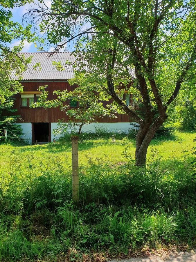 Draga Koncar Guest House Vrelo Korenicko Екстер'єр фото